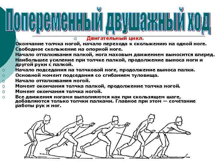 ¡ ¡ ¡ Двигательный цикл. Окончание толчка ногой, начало перехода к скольжению на одной