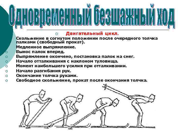 ¡ ¡ ¡ ¡ ¡ Двигательный цикл. Скольжение в согнутом положении после очередного толчка