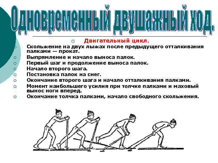 ¡ ¡ ¡ ¡ ¡ Двигательный цикл. Скольжение на двух лыжах после предыдущего отталкивания