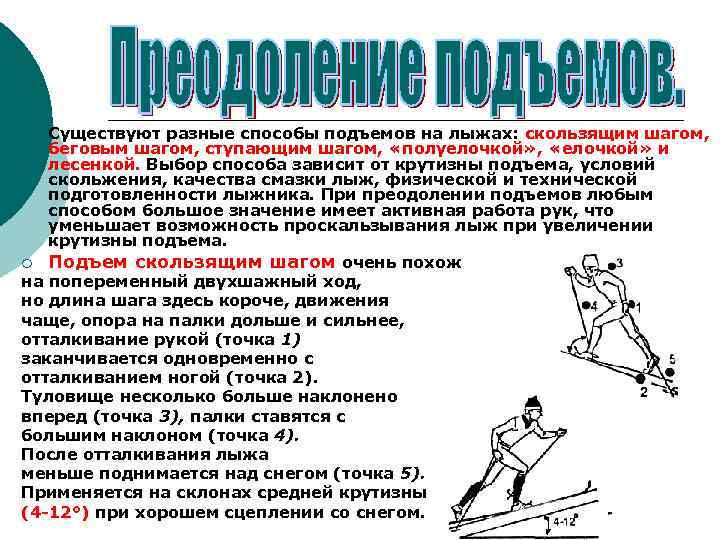 Существуют разные способы подъемов на лыжах: скользящим шагом, беговым шагом, ступающим шагом, «полуелочкой» ,