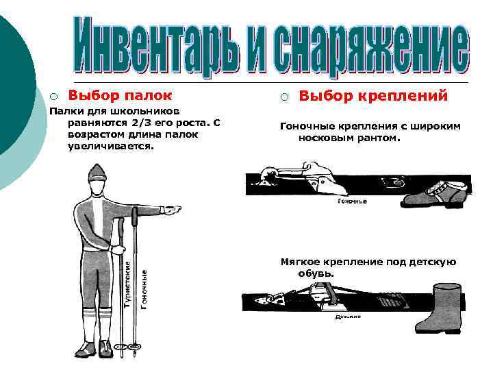 ¡ Выбор палок Палки для школьников равняются 2/3 его роста. С возрастом длина палок