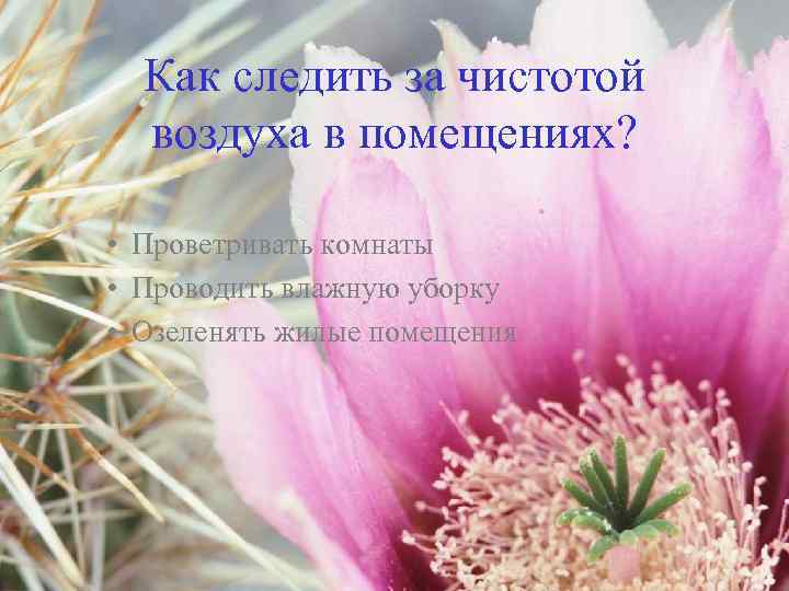 Как следить за чистотой воздуха в помещениях? • Проветривать комнаты • Проводить влажную уборку