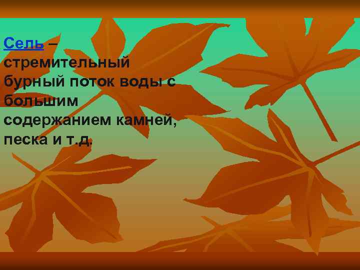 Сель – стремительный бурный поток воды с большим содержанием камней, песка и т. д.