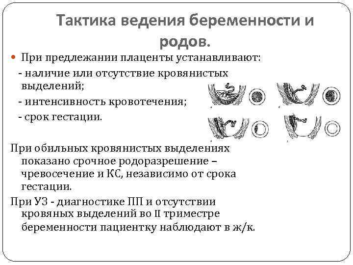 Тактика ведения беременности и родов. При предлежании плаценты устанавливают: - наличие или отсутствие кровянистых