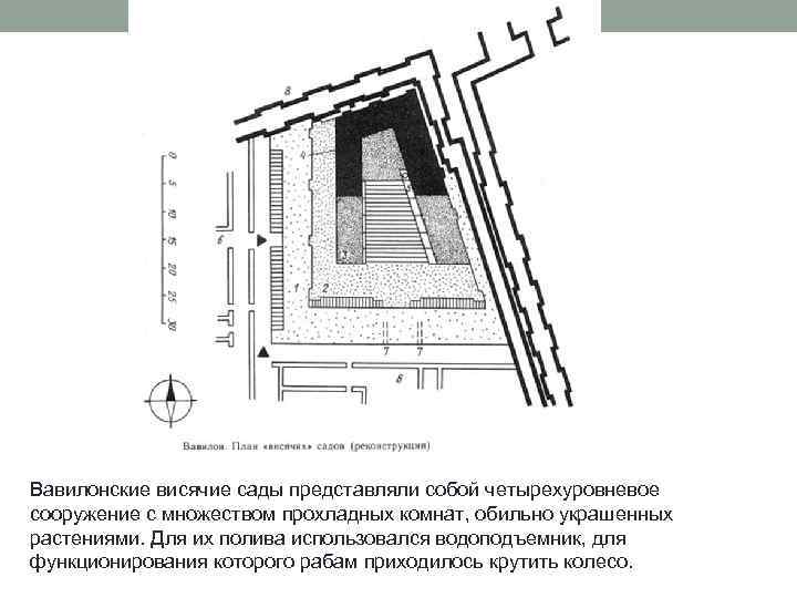 Вавилонские висячие сады представляли собой четырехуровневое сооружение с множеством прохладных комнат, обильно украшенных растениями.