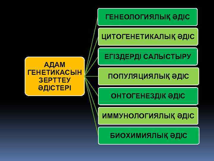 ГЕНЕОЛОГИЯЛЫҚ ӘДІС ЦИТОГЕНЕТИКАЛЫҚ ӘДІС ЕГІЗДЕРДІ САЛЫСТЫРУ АДАМ ГЕНЕТИКАСЫН ЗЕРТТЕУ ӘДІСТЕРІ ПОПУЛЯЦИЯЛЫҚ ӘДІС ОНТОГЕНЕЗДІК ӘДІС