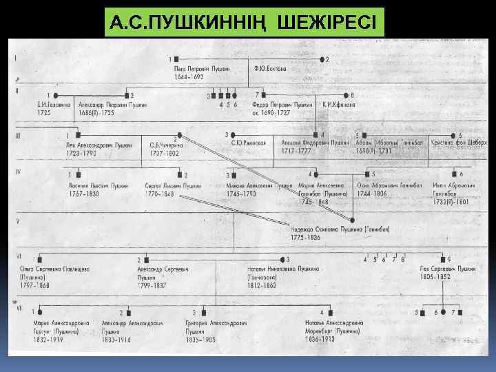 А. С. ПУШКИННІҢ ШЕЖІРЕСІ 