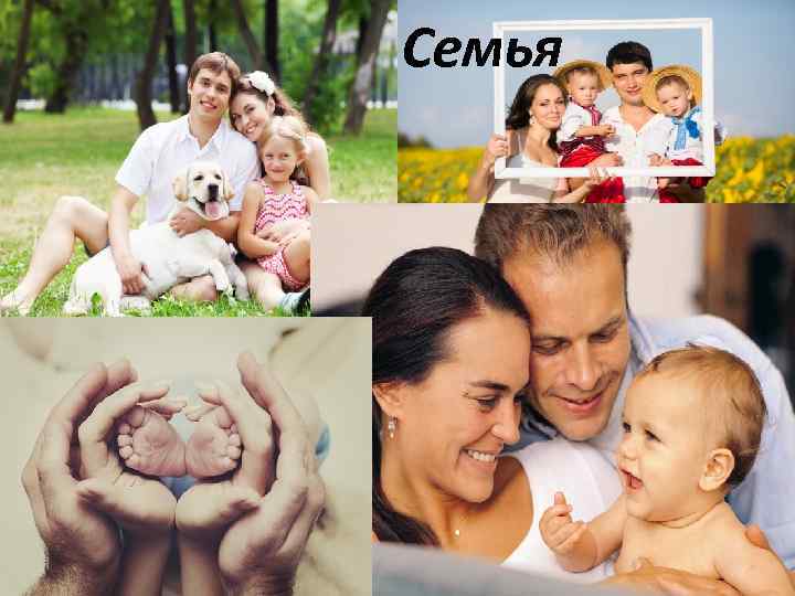 Семья 