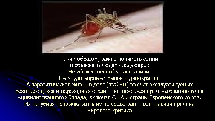 Таким образом, важно понимать самим и объяснять людям следующее: Не «божественный» капитализм! Не «чудотворные»