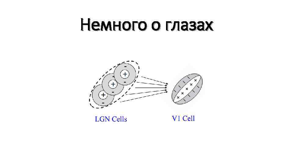 Немного о глазах 