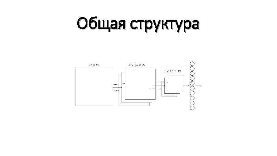 Общая структура 