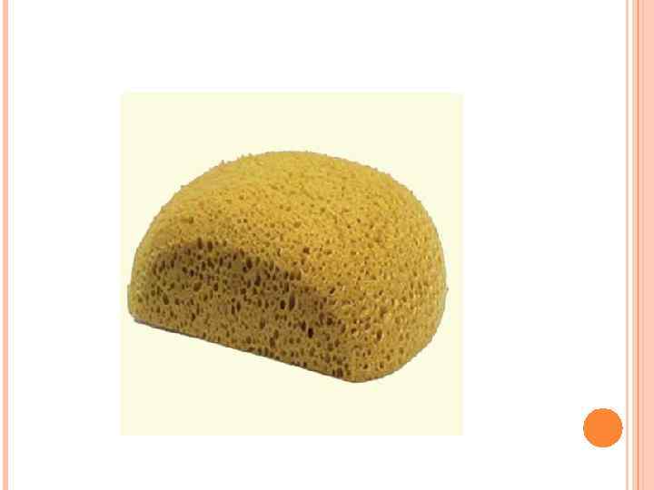 Является ли человеческих разум – губкой? 