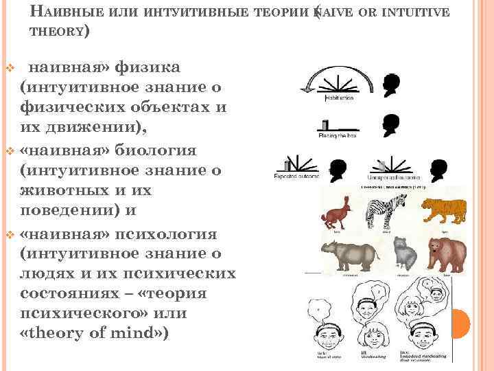 НАИВНЫЕ ИЛИ ИНТУИТИВНЫЕ ТЕОРИИ NAIVE OR INTUITIVE ( THEORY) «наивная» физика (интуитивное знание о