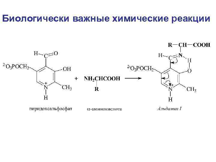 Биологически важные химические реакции 