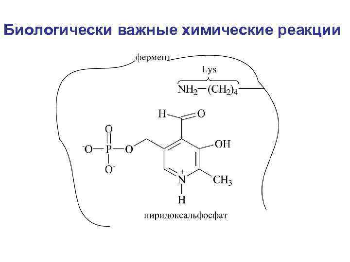 Биологически важные химические реакции 