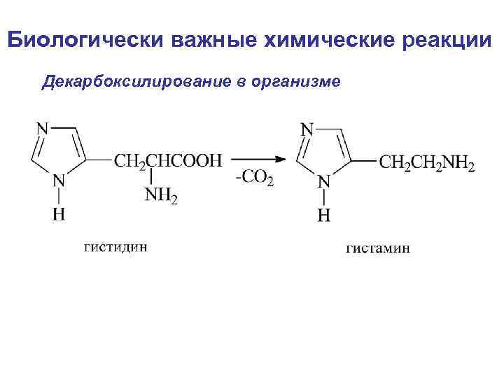 Биологически важные химические реакции Декарбоксилирование в организме 