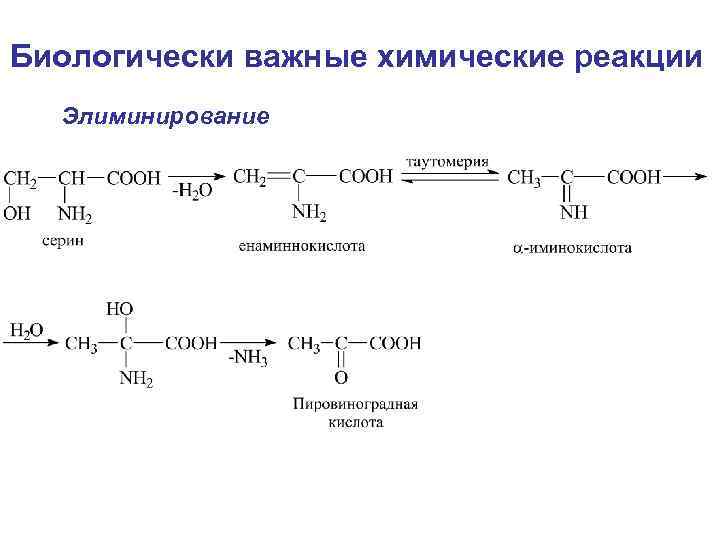 Биологически важные химические реакции Элиминирование 