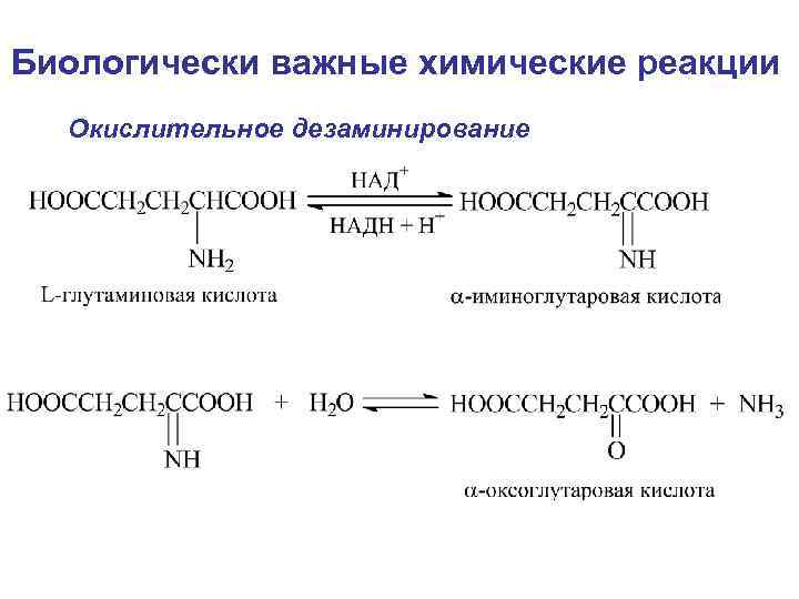 Реакция in vivo. Дезаминирование триптофана реакция. Непрямое неокислительное дезаминирование. Дезаминирование лизина реакция. Непрямое окислительное дезаминирование фенилаланина.