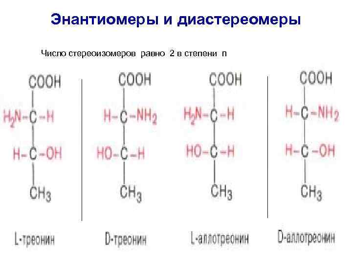 Энантиомеры и диастереомеры Число стереоизомеров равно 2 в степени n Все природные a- аминокислоты