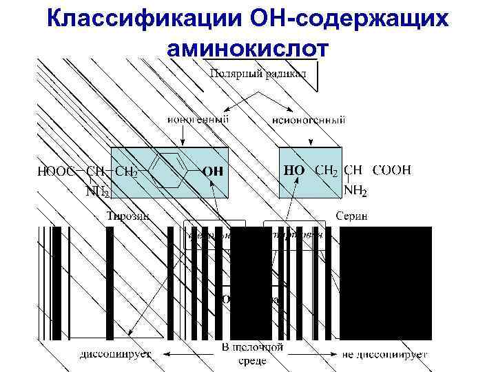 Классификации ОН-содержащих аминокислот 