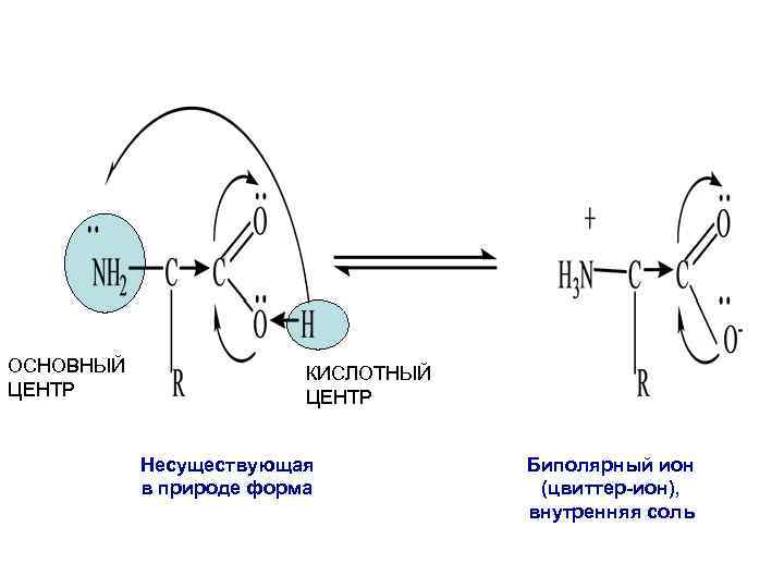 ОСНОВНЫЙ ЦЕНТР КИСЛОТНЫЙ ЦЕНТР Несуществующая в природе форма Биполярный ион (цвиттер-ион), внутренняя соль 