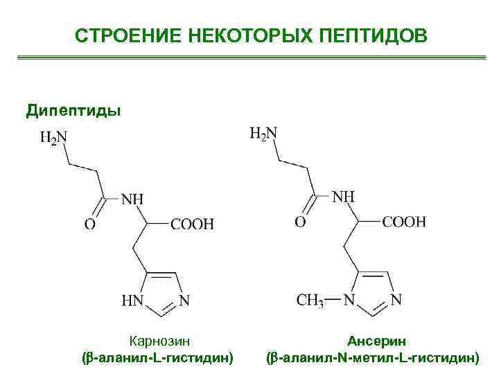 СТРОЕНИЕ НЕКОТОРЫХ ПЕПТИДОВ Дипептиды Карнозин ( -аланил-L-гистидин) Ансерин ( -аланил-N-метил-L-гистидин) 