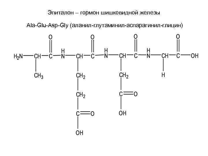 Эпиталон – гормон шишковидной железы Ala-Glu-Asp-Gly (аланил-глутаминил-аспарагинил-глицин) 