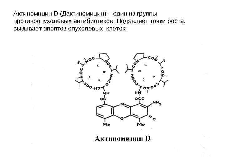 Актиномицин D (Дактиномицин) – один из группы противоопухолевых антибиотиков. Подавляет точки роста, вызывает апоптоз