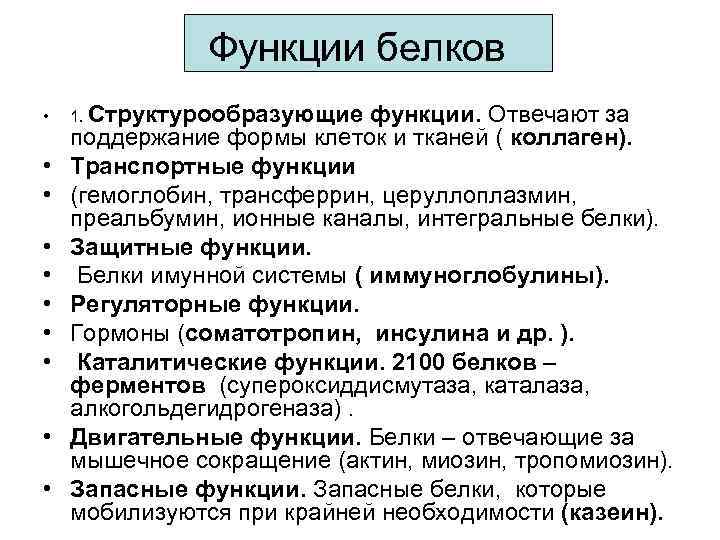 Функции белков • • • 1. Структурообразующие функции. Отвечают за поддержание формы клеток и