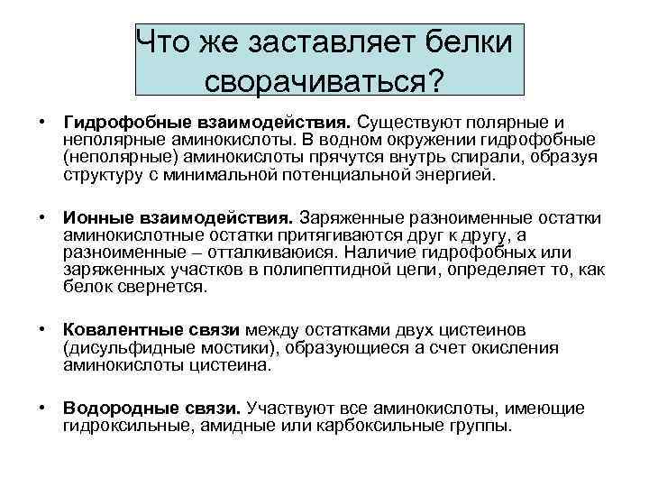 Что же заставляет белки сворачиваться? • Гидрофобные взаимодействия. Существуют полярные и неполярные аминокислоты. В