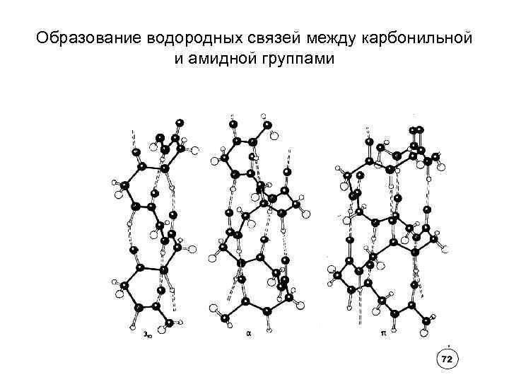 Образование водородных связей между карбонильной и амидной группами 
