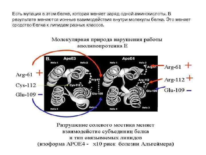 Есть мутация в этом белке, которая меняет заряд одной аминокислоты. В результате меняются ионные