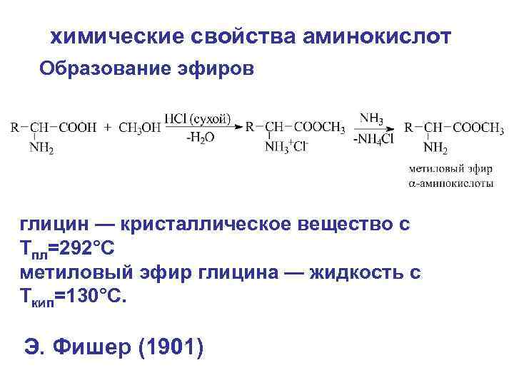 Химические свойства аминокислот и белков