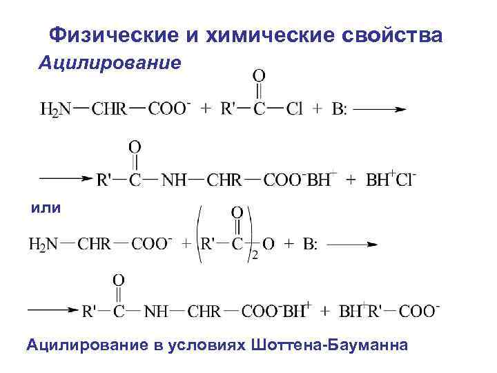 Физические и химические свойства Ацилирование или Ацилирование в условиях Шоттена-Бауманна 
