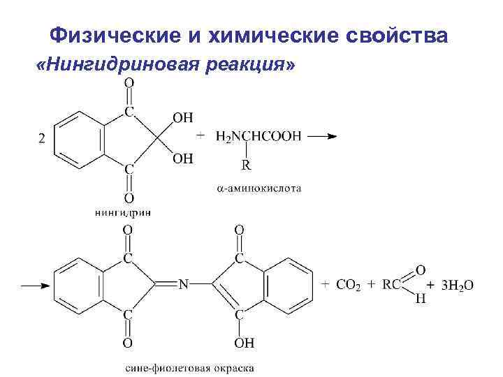 Физические и химические свойства «Нингидриновая реакция» 