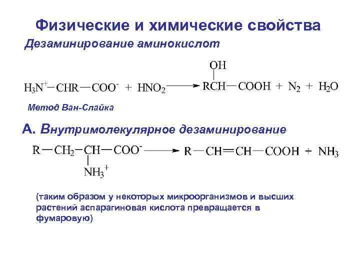 Физические и химические свойства Дезаминирование аминокислот Метод Ван-Слайка А. Внутримолекулярное дезаминирование (таким образом у