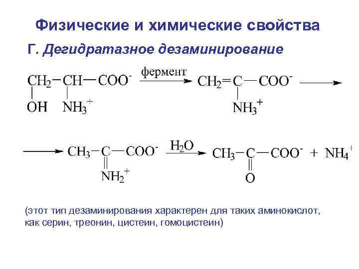 Физические и химические свойства Г. Дегидратазное дезаминирование (этот тип дезаминирования характерен для таких аминокислот,
