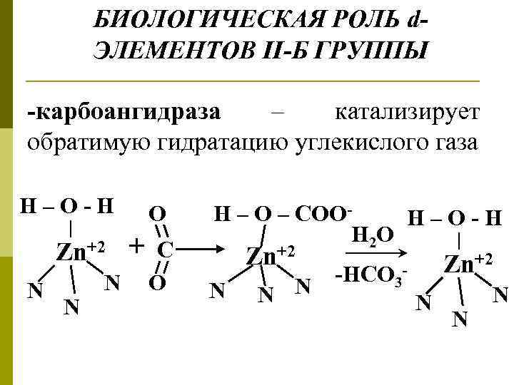 D элементов 2 группы. Карбоангидраза химическое строение. Карбоангидраза пространственное строение. Функции карбоангидразы физиология. Карбоангидраза формула.