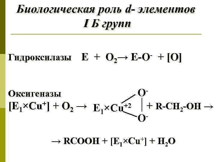 Биологическая роль d- элементов I Б групп Гидроксилазы Е + О 2→ Е-О- +