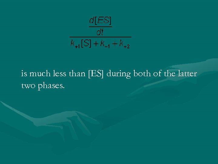 is much less than [ES] during both of the latter two phases. 