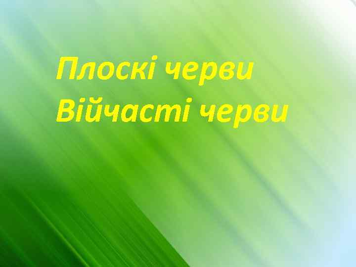 Плоскі черви Війчасті черви 