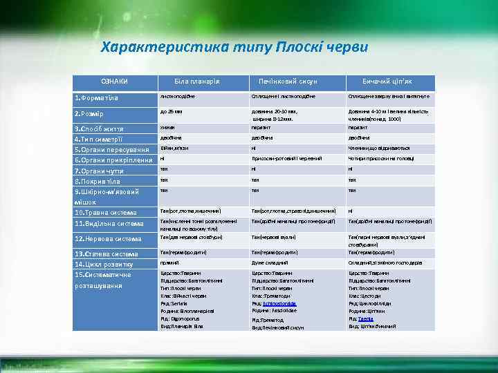 Характеристика типу Плоскі черви ОЗНАКИ Біла планарія Печінковий сисун Бичачий ціп’як 1. Форма тіла