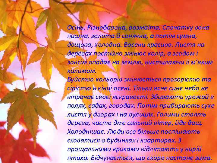 Осінь. Різнобарвна, розмаїта. Спочатку вона пишна, золота й сонячна, а потім сумна, дощова, холодна.