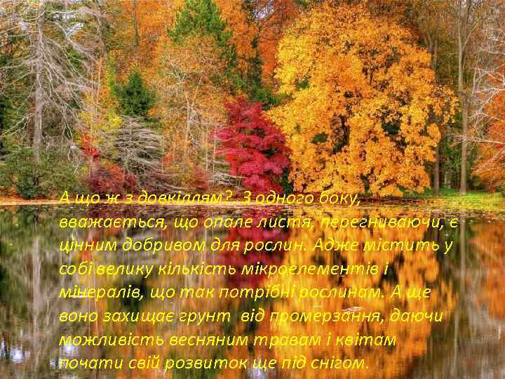 А що ж з довкіллям? . З одного боку, вважається, що опале листя, перегниваючи,