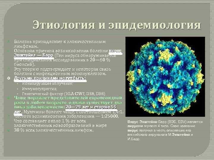 Этиология и эпидемиология Болезнь принадлежит к злокачественным лимфомам. Основная причина возникновения болезни вирус Эпштейна