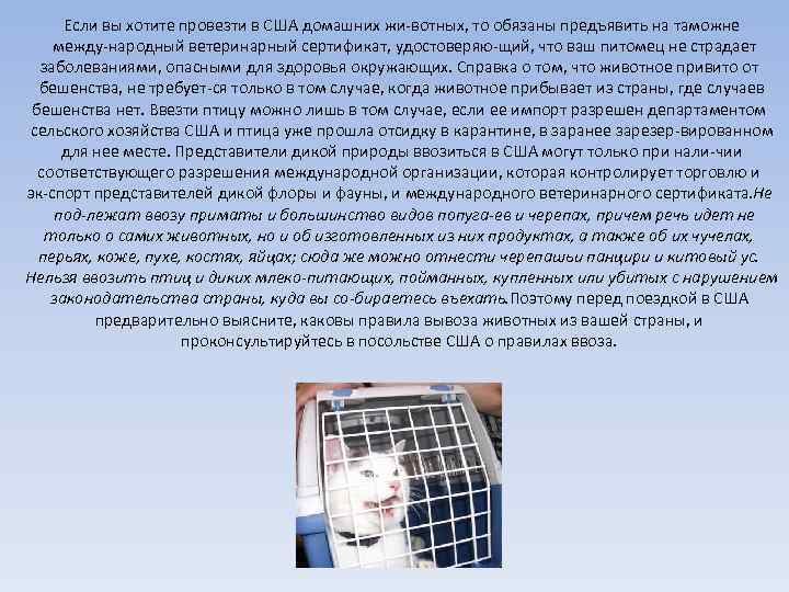 Если вы хотите провезти в США домашних жи вотных, то обязаны предъявить на таможне