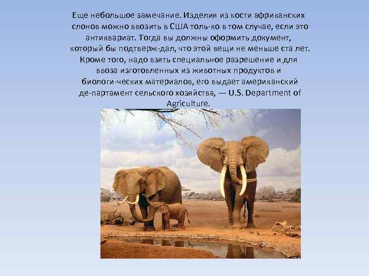 Еще небольшое замечание. Изделия из кости африканских слонов можно ввозить в США толь ко