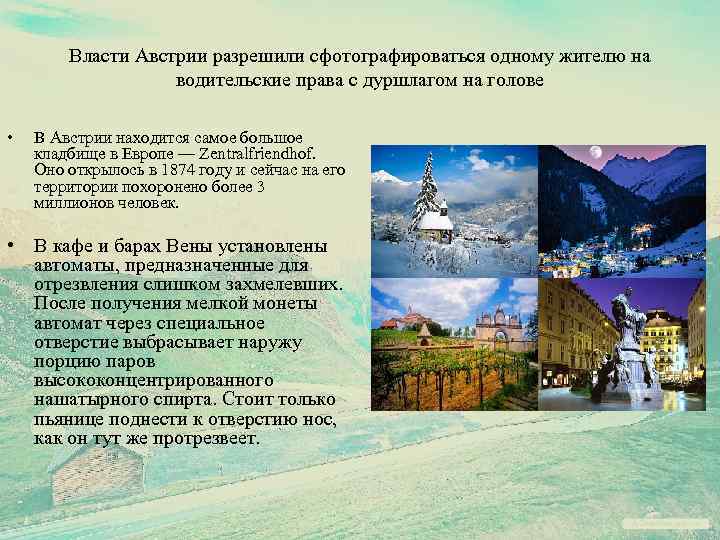 Власти Австрии разрешили сфотографироваться одному жителю на водительские права с дуршлагом на голове •