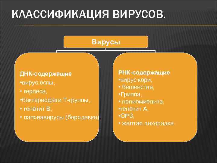 КЛАССИФИКАЦИЯ ВИРУСОВ. Вирусы ДНК-содержащие • вирус оспы, • герпеса, • бактериофаги Т-группы, • гепатит