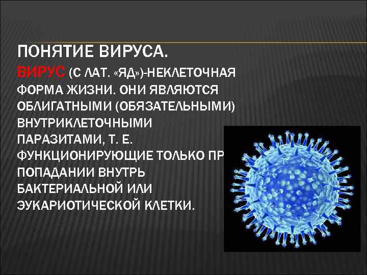 ПОНЯТИЕ ВИРУСА. ВИРУС (С ЛАТ. «ЯД» )-НЕКЛЕТОЧНАЯ ФОРМА ЖИЗНИ. ОНИ ЯВЛЯЮТСЯ ОБЛИГАТНЫМИ (ОБЯЗАТЕЛЬНЫМИ) ВНУТРИКЛЕТОЧНЫМИ
